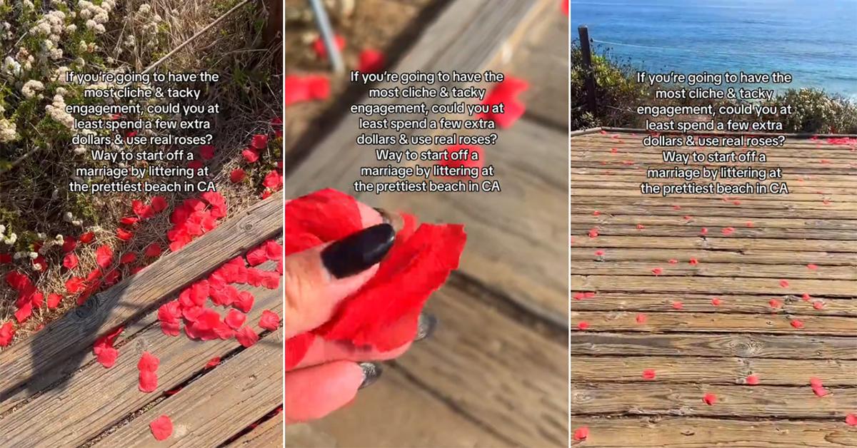 Fake rose petal engagement beach