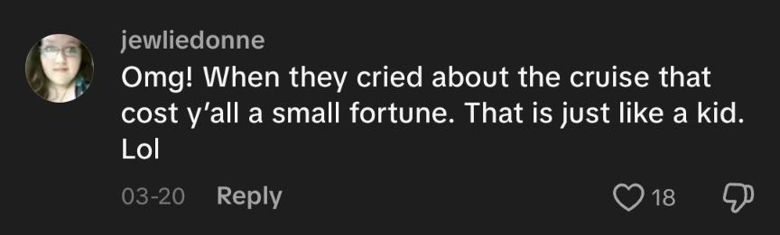 A comment on the TikTok about the Disney cruise.