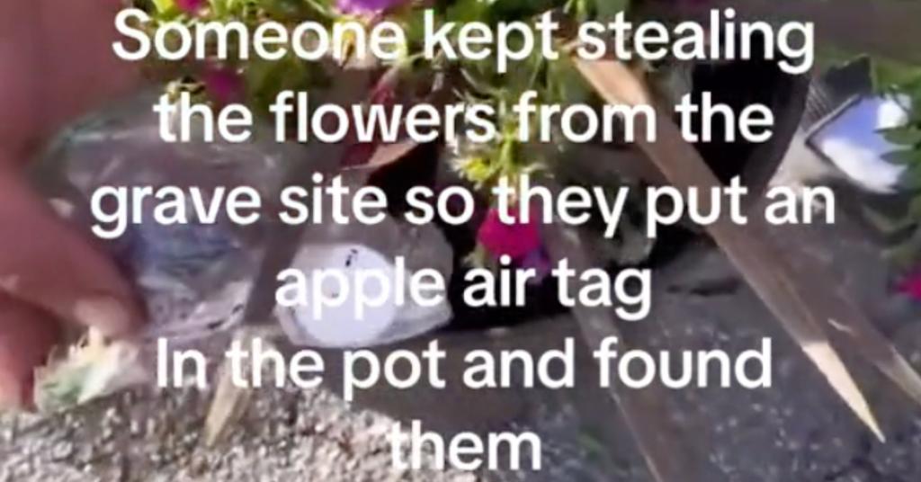 Woman Caught Repeatedly Stealing Flowers From Someone’s Grave