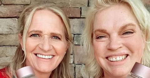 christine and janelle brown