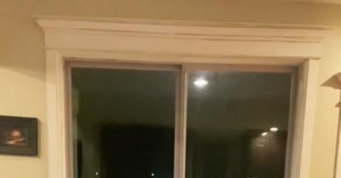 Toilet paper challenge