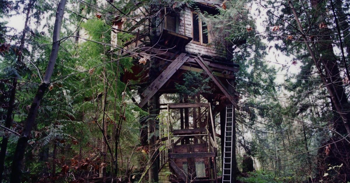 Scott Scurlock's tree house