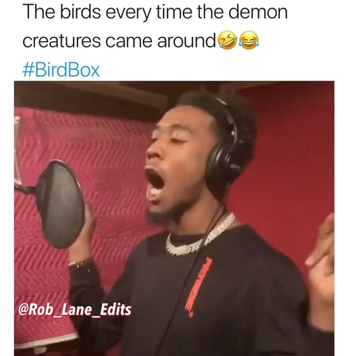 bird box birds