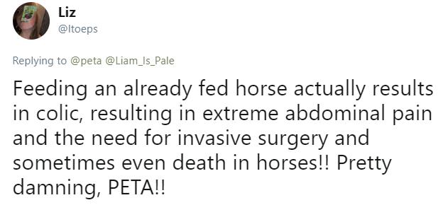 jimmys peta tweet