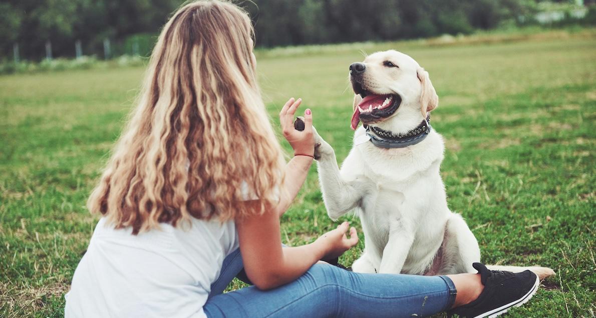 pet friendly rehab