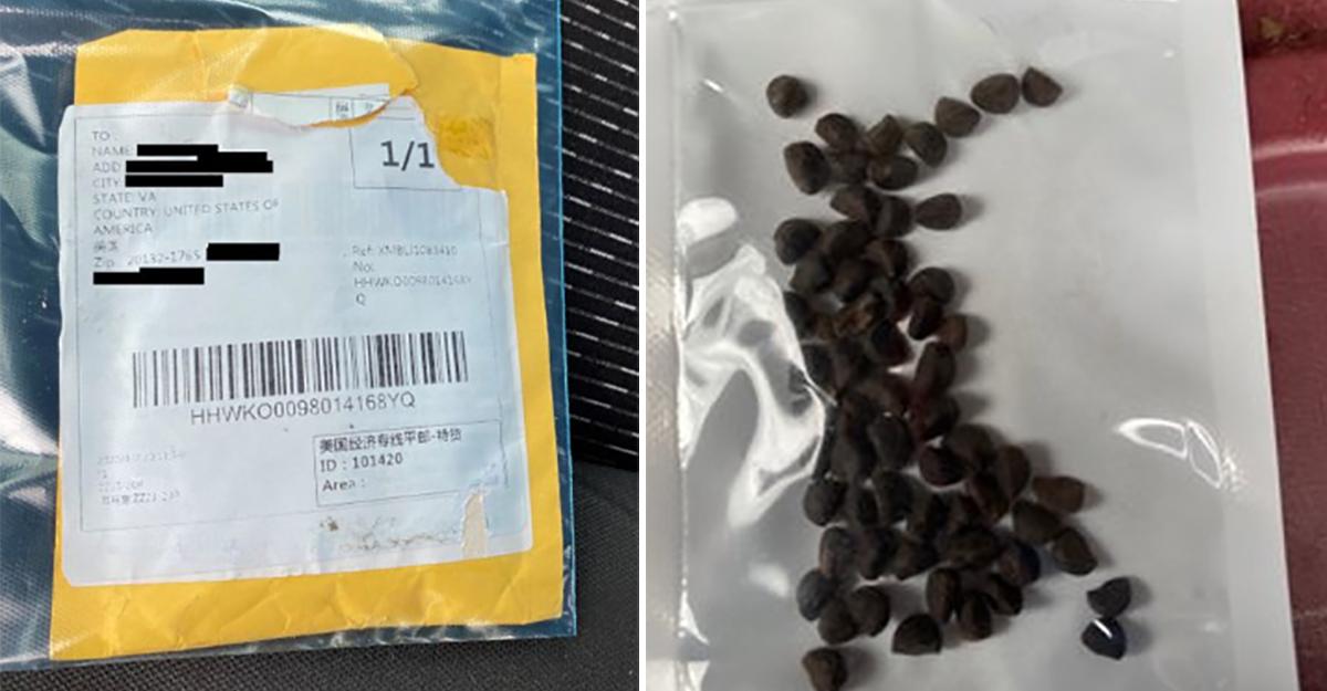 People Are Getting Bags of "Mystery Seeds" From China and They're Being Told Not to Plant Them