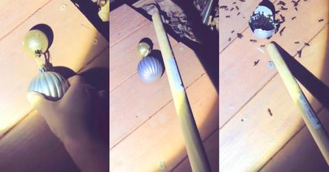 Woman Finds Termites in Christmas Ornaments