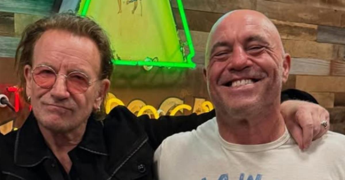 did-joe-rogan-fight-professionally