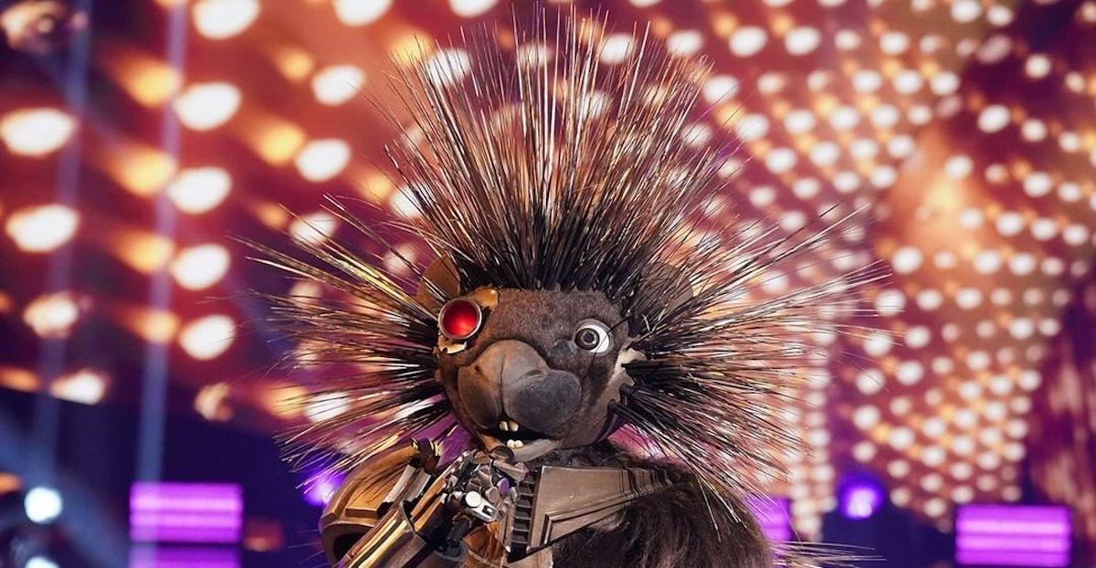 Who Is Porcupine on 'Masked Singer' Season 5? Clues, Guesses, Reveal
