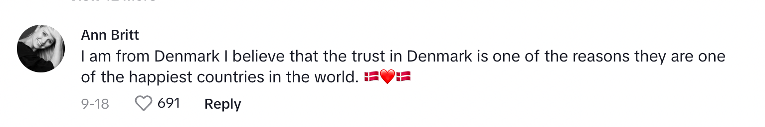 A commenter agrees that Denmark is a very safe country where people trust each other