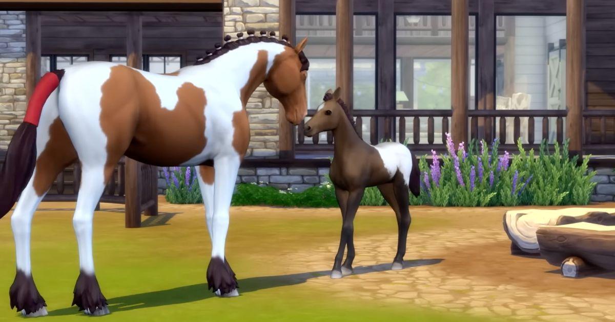 Is The Sims 4 Horse Ranch the next Expansion Pack?