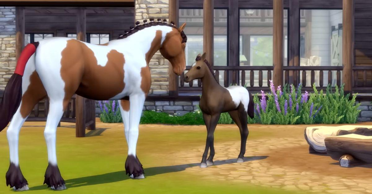 Sims 4 Horse Breeding 1689603064391 