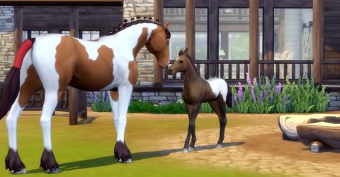 sims 4 horse ranch horse and foal