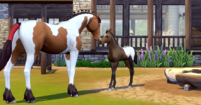 horse breeding sims 4
