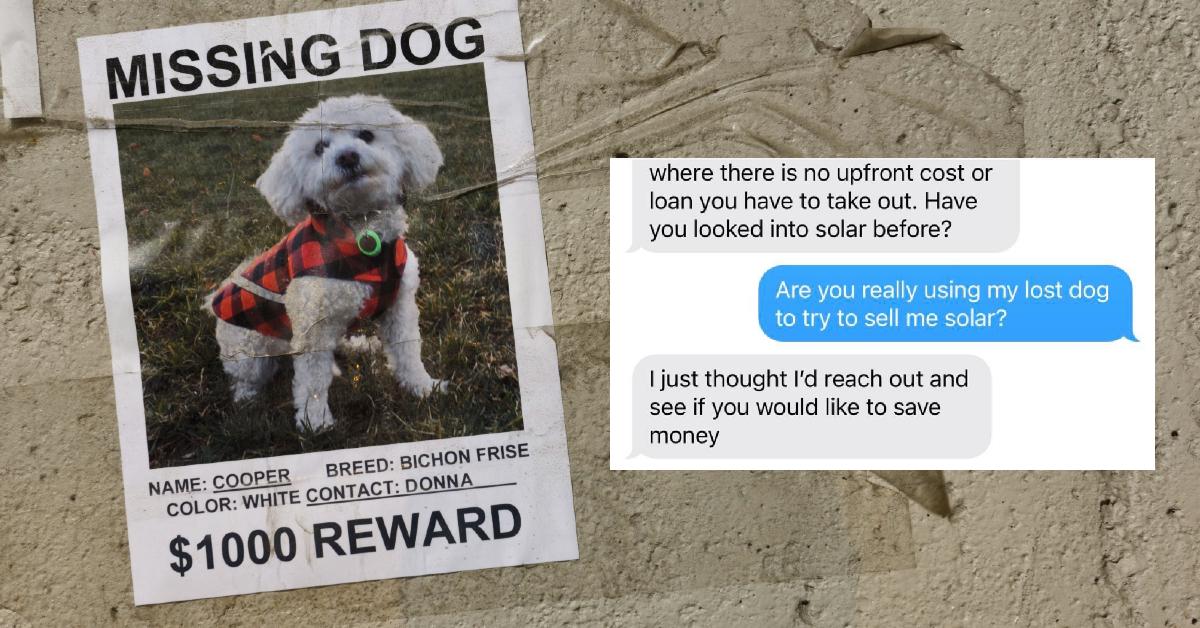 Solar Salesman Sees Woman’s Lost Dog Photo, Uses It as an Opportunity to Sell Solar