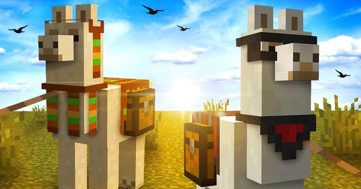 What Do Llamas Eat in 'Minecraft'? Here's How You Keep