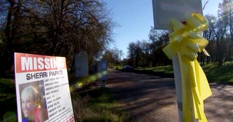 Sherri Papini missing poster