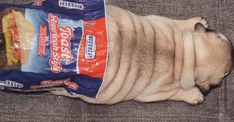 featured forbidden foods