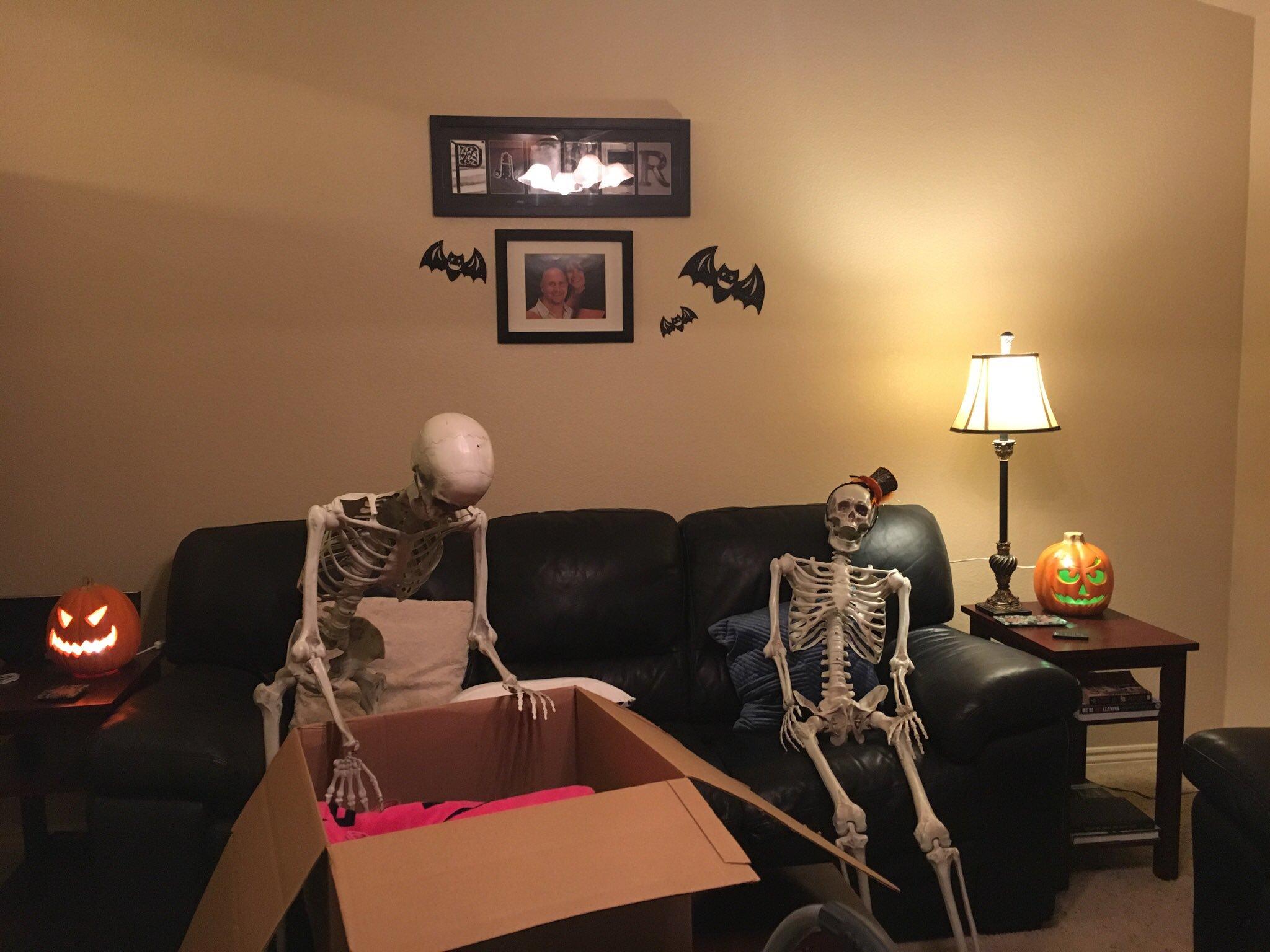 skeleton pet