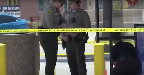 Police collecting the alleged human skin teddy bear