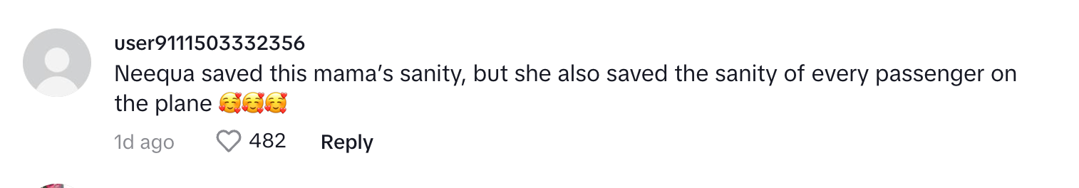 A commenter saying that the flight attendant saved the mother's sanity as well as the other passengers