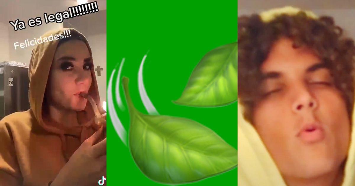 What Does the Leaf Emoji Mean on TikTok? Here's a Breakdown