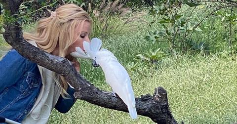 what is sandra lee doing now