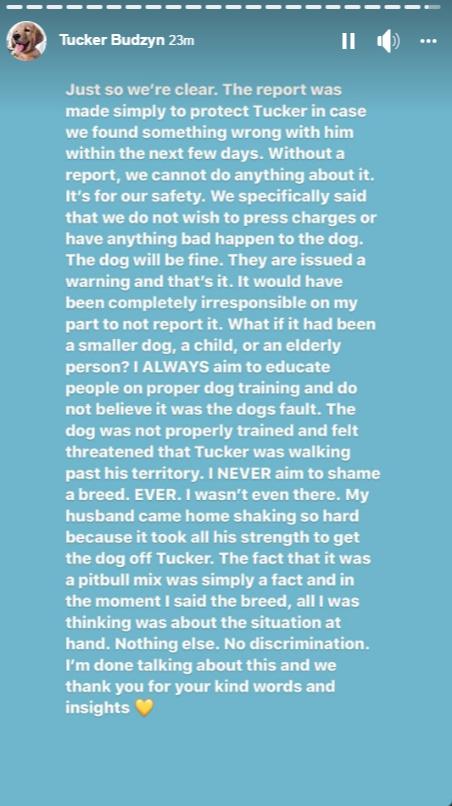 What Happened to Tucker Budzyn? Why His Owner Filed a Police Report