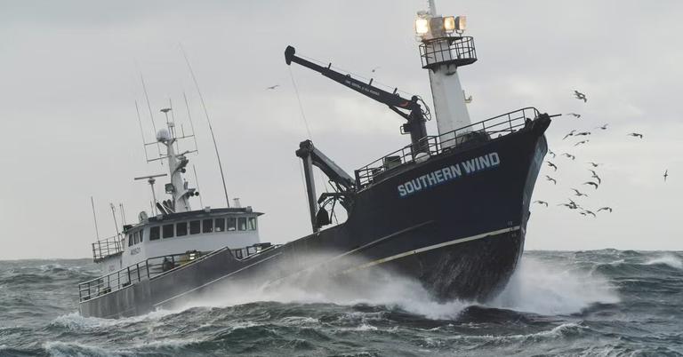 Who Are the 'Deadliest Catch' Captains? A Recap of the Active Vessels