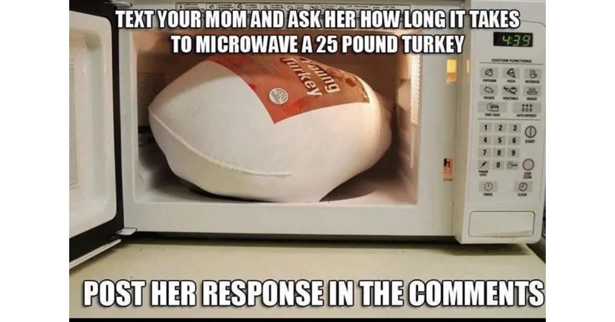 Thanksgiving meme of a frozen turkey in a microwave