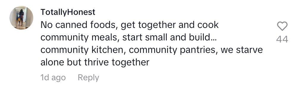Comment on video of TikToker sharing food stamp alternatives amid government shutdown.