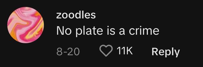 TikToker @_zoodles commented, "No plate is a crime."