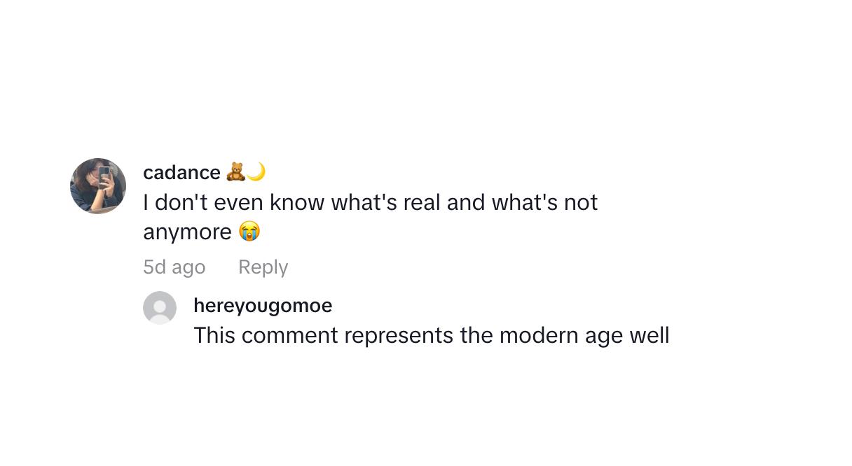 A commenter saying that they don't even know what's real anymore