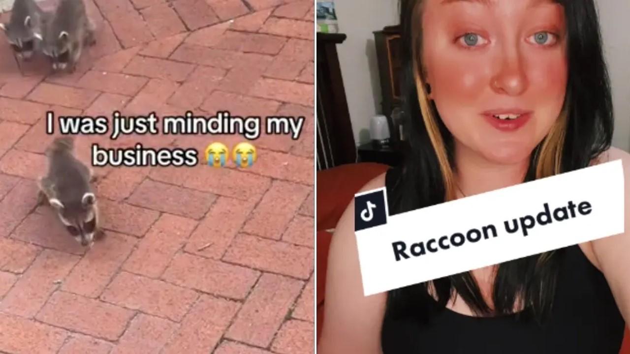 Woman faced internet backlash for posting a video of baby raccoons following her