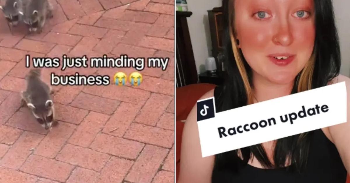 Small Racoon Viral Woman Faces Backlash for 20-Second Video of Baby Raccoons