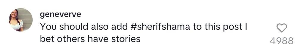 Comment on allegations against photographer Sherif Shama.