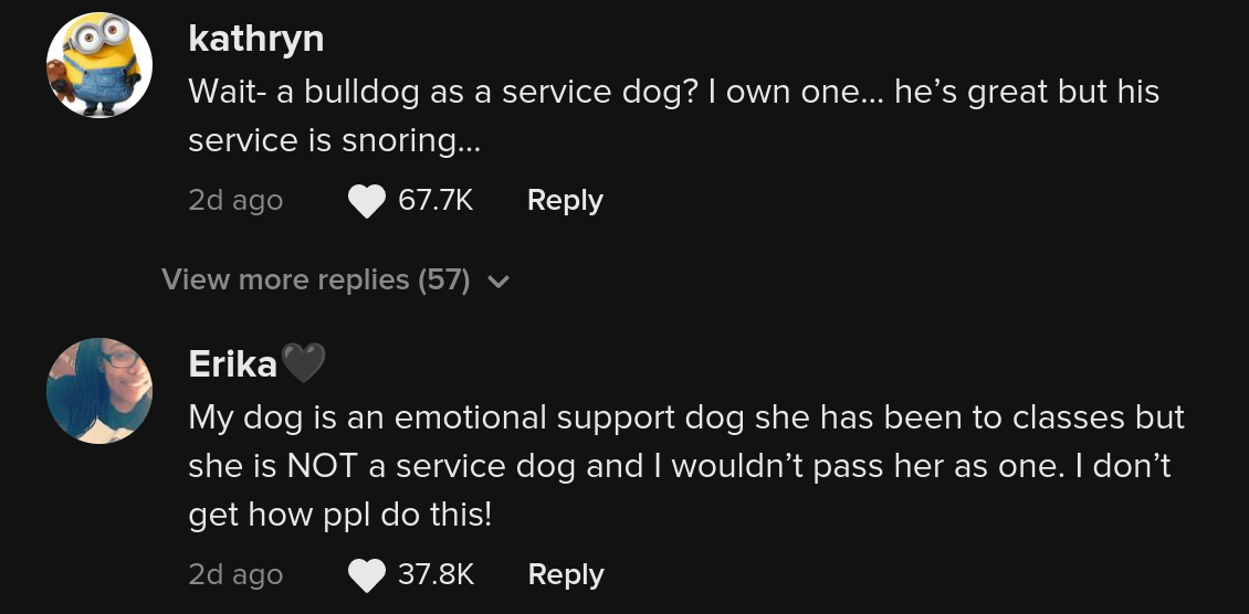 tiktoker service real vs fake service dogs