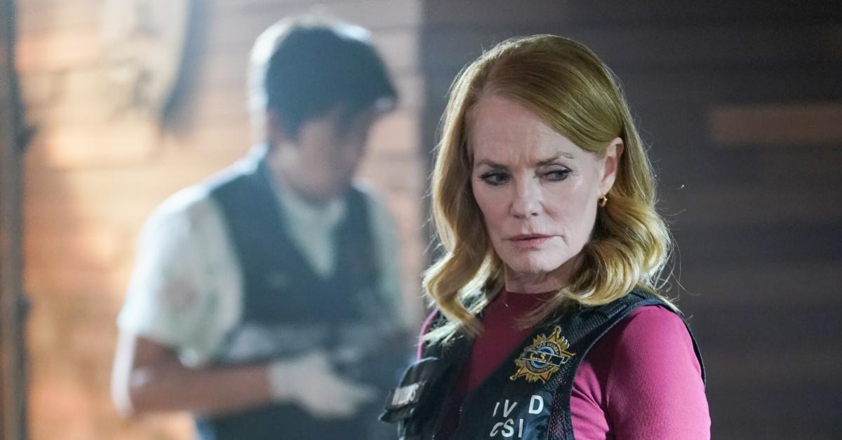 Marg Helgenberger as Catherine Willows