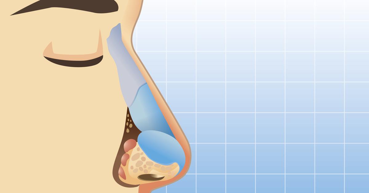 Is Eating Your Boogers Bad For Your Health?