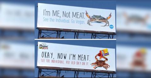 featured peta jimmys seafood