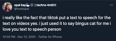 speech to text tiktok