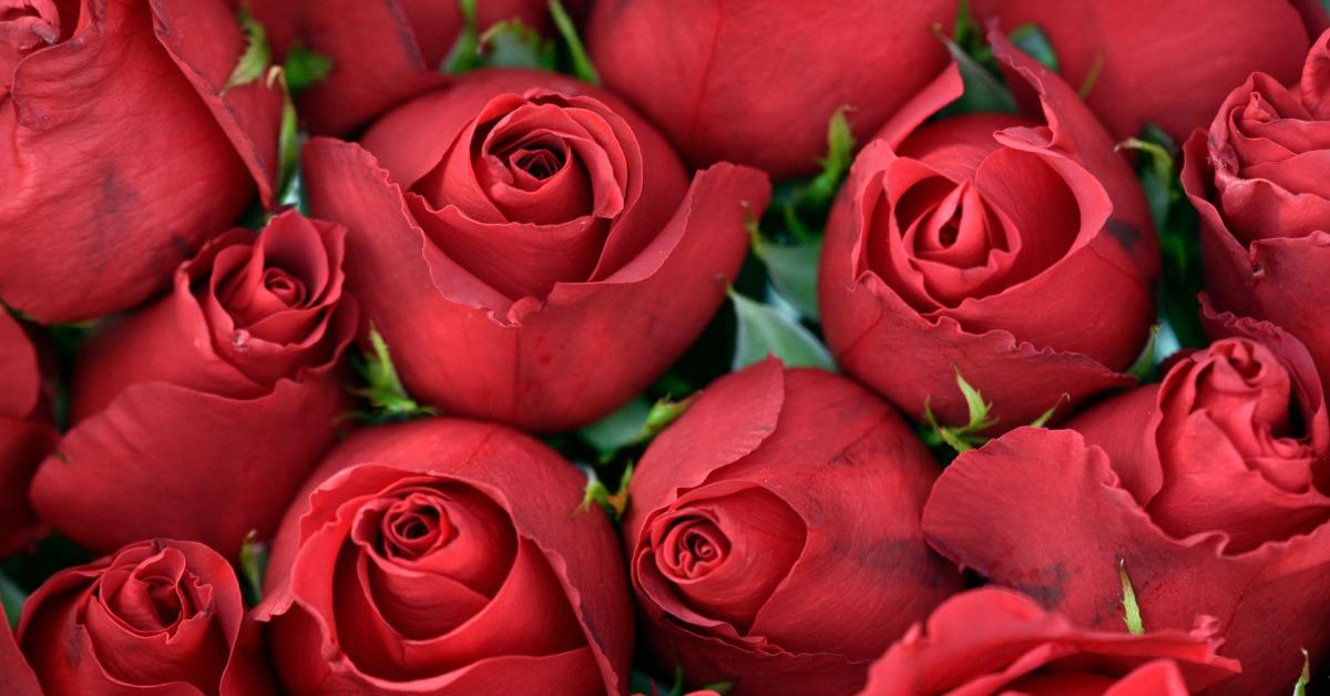 Unpacking Valentine's Day Celebrations Around the World