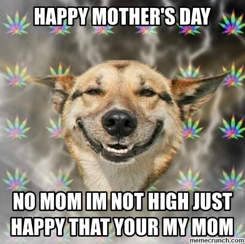 happy dog mom day meme