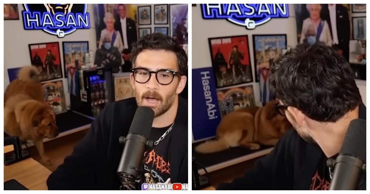 Hasan Piker Accused of Using Shock Collar on His Dog