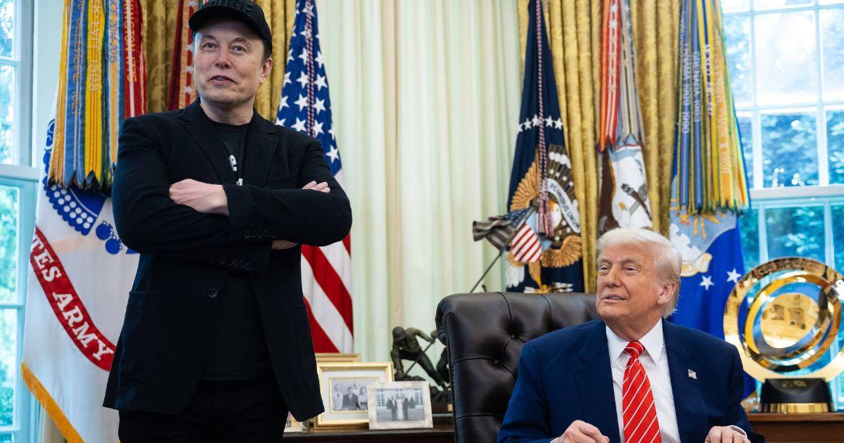 Elon Musk with Donald Trump
