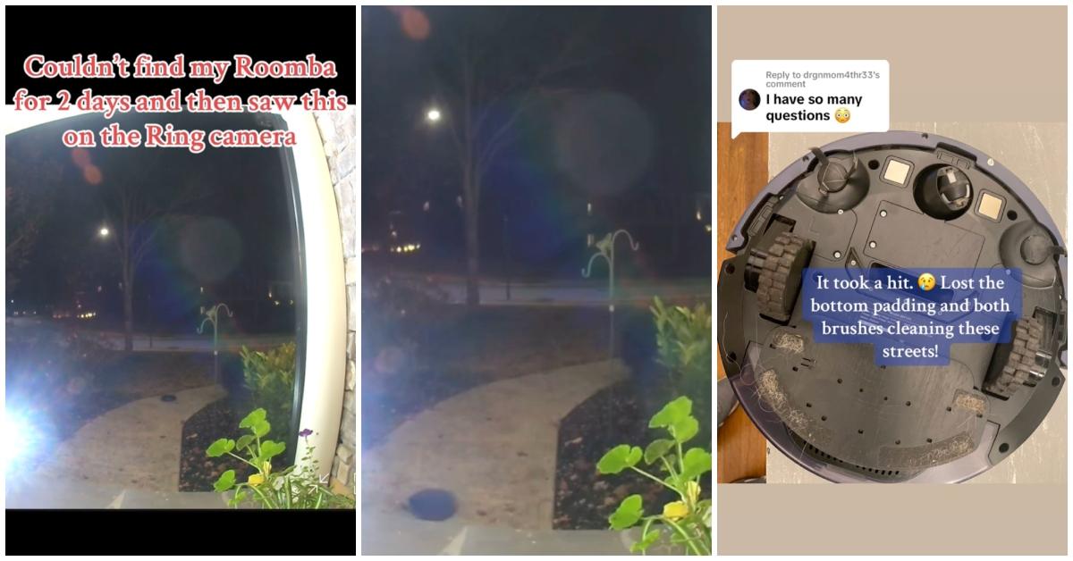 Roomba Escapes House and Cleans Streets