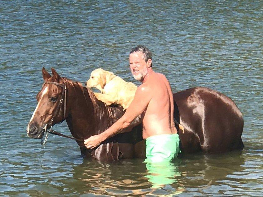 Jerry Falwell Jr., a horse, and a dog. 