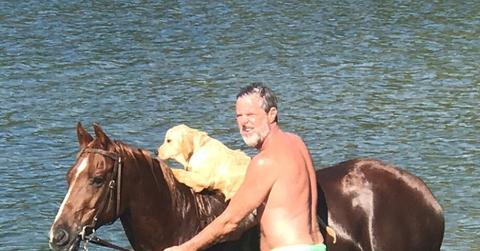 Jerry Falwell Jr., a horse, and a dog.