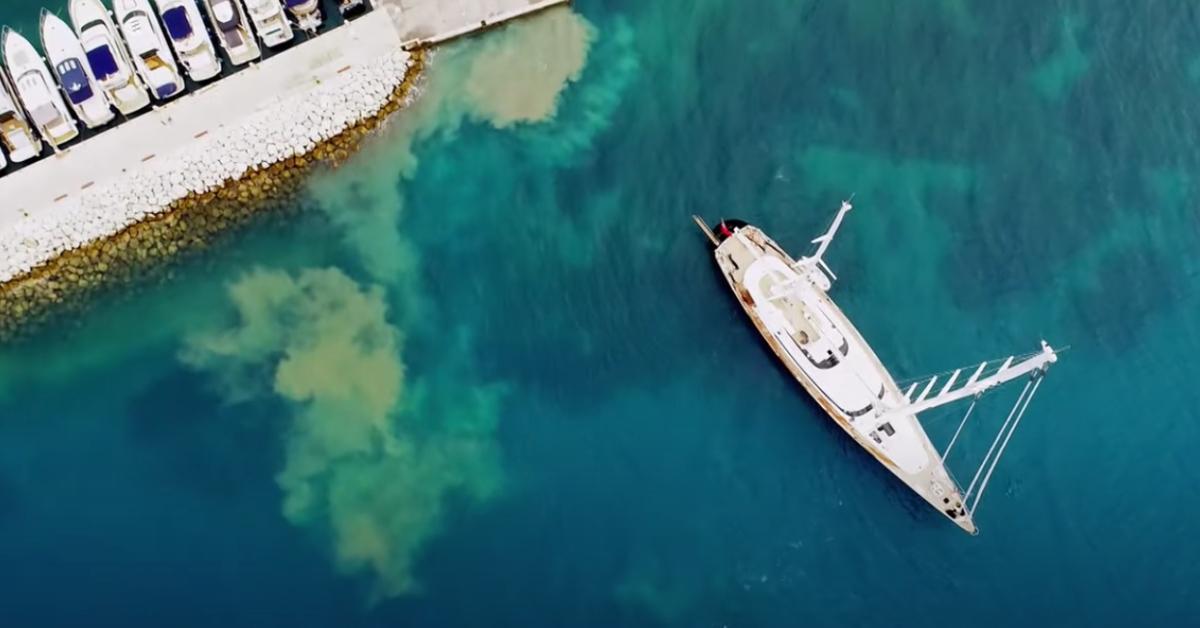 Where Is Kerry McReynolds From 'Below Deck Sailing Yacht' Now?