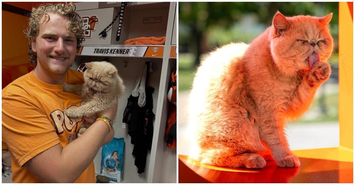 Meet Pudge the Cat's Fearless Owner  
